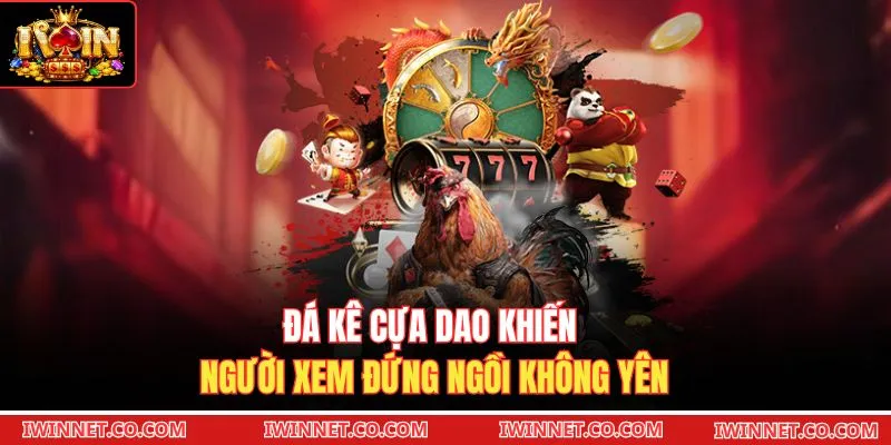 Đá kê cựa dao khiến người xem đứng ngồi không yên 