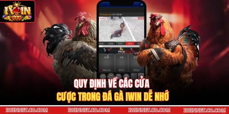 Quy định về các cửa cược trong đá gà Iwin dễ nhớ 